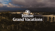 Hgv GIF by Switzerfilm