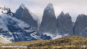 GIF by Channel 9