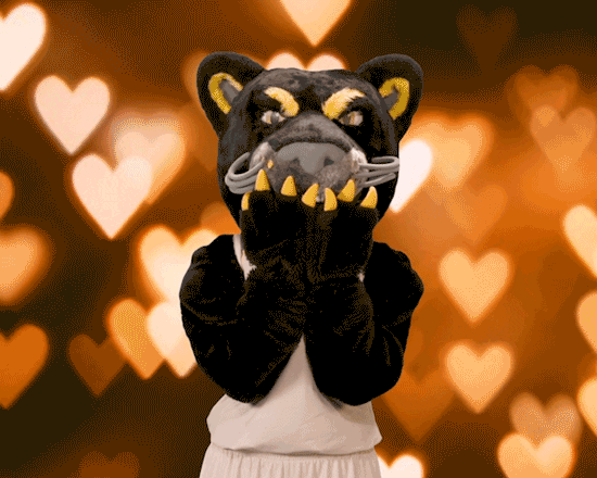 Valentines Pounce GIF by UW-Milwaukee