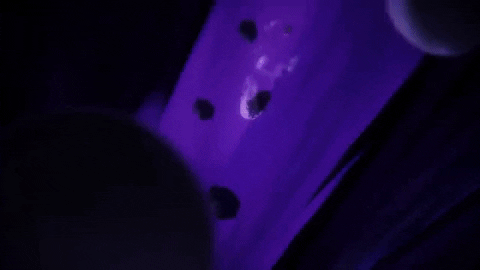 hydrogirlbarbara giphyupload GIF