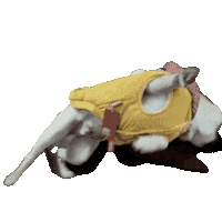 Dogs Puppy Sticker by Roman Tyrsin