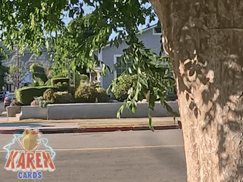karencardstcg giphyupload side eye karen peekaboo GIF