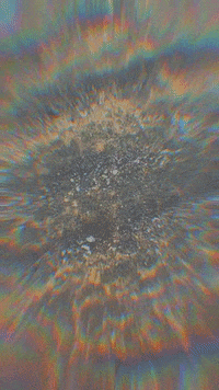 hesstuck nature water beach ocean GIF