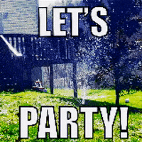 Party Celebrate GIF by @thevfitstudio