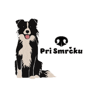 prismrcku dog slovenia slovenija pes Sticker