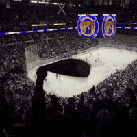 Buffalo Sabres Nfl GIF by Respective