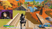 Fortnite Battle Royale Gamer GIF