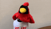 Mascot Cards GIF by NCAlumni