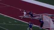 LafayetteLeopards goal lacrosse lafayette leopards GIF