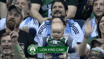 The Lion King Reaction GIF by NBA