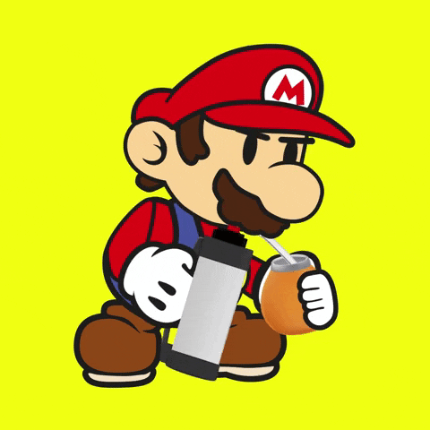 Super Mario Mate GIF