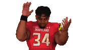 College Football Sticker by Maryland Terrapins