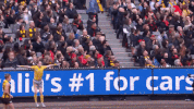 sport yes GIF by Essendon FC