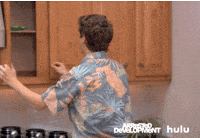 arrested development fox television classics GIF by HULU