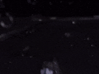 Blue Valentine Rewind GIF