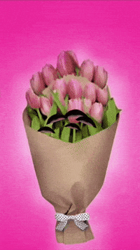 Shers GIF by Sherali Islomov