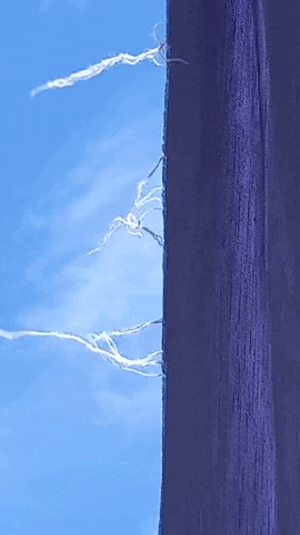 Simongip giphygifmaker GIF