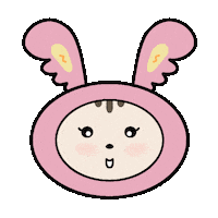세븐틴 Hanie Sticker