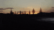 RipCurl_Aus surfing surfer warm up rip curl GIF