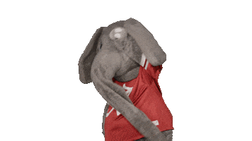 Crimson Tide Ua Sticker by The University of Alabama