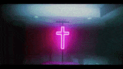 the weeknd GIF by Island Records UK