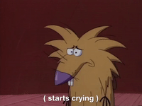 nickrewind nicksplat angry beavers GIF