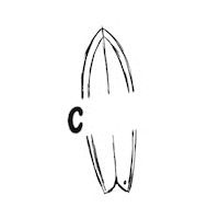 Skate Surf Sticker by Colour wear