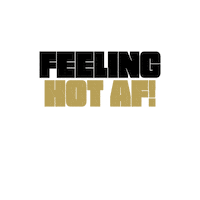 House Gold Sticker by VloerenBaas