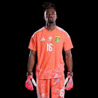 South Africa Concacaf GIF by Respective