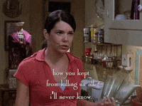season 6 netflix GIF by Gilmore Girls 