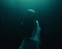 Wild Ones GIF by Jessie Murph