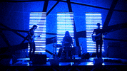 always trying to work it out sub pop GIF by Sub Pop Records