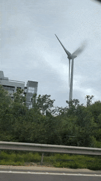 GIF by Stella 52