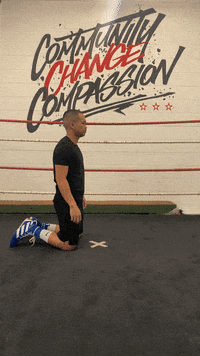 quinitboxing  GIF