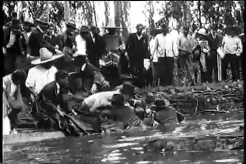 Drowning Historia De Mexico GIF by Luis Ricardo