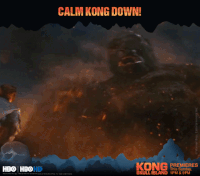 GIF by HBO India