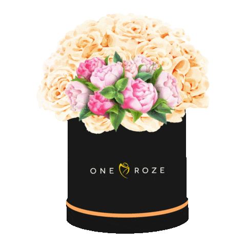 roses hatbox Sticker by Oneroze