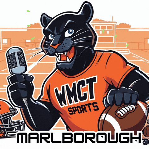 WMCTTV giphyupload panthers marlborough marlboroughma GIF
