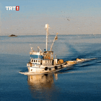Forget Omega 3 GIF by TRT
