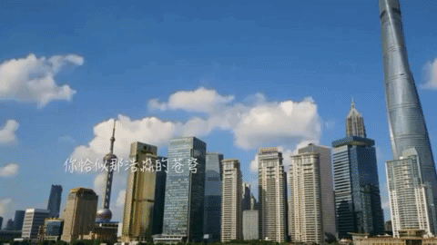shang hai GIF