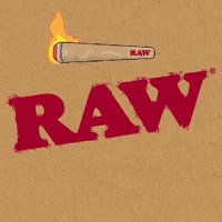 Cone Raw Cones GIF by RAW Rolling Papers