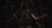 evil dead horror GIF