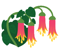 Royal Botanic Gardens Victoria Sticker by Erstwilder