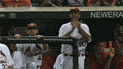 st. louis cardinals GIF by MLB