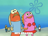 season 6 GIF by SpongeBob SquarePants
