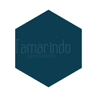 Tamarindo Real Estate Sticker by Tamarindo Bienes Raíces