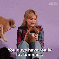 Fat Tummies