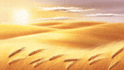 Preach Jesus Christ GIF