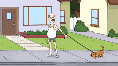 steveallen-3cac giphygifmaker dog summer justice GIF