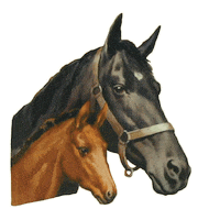 Mom Horse Sticker by Milton Menasco